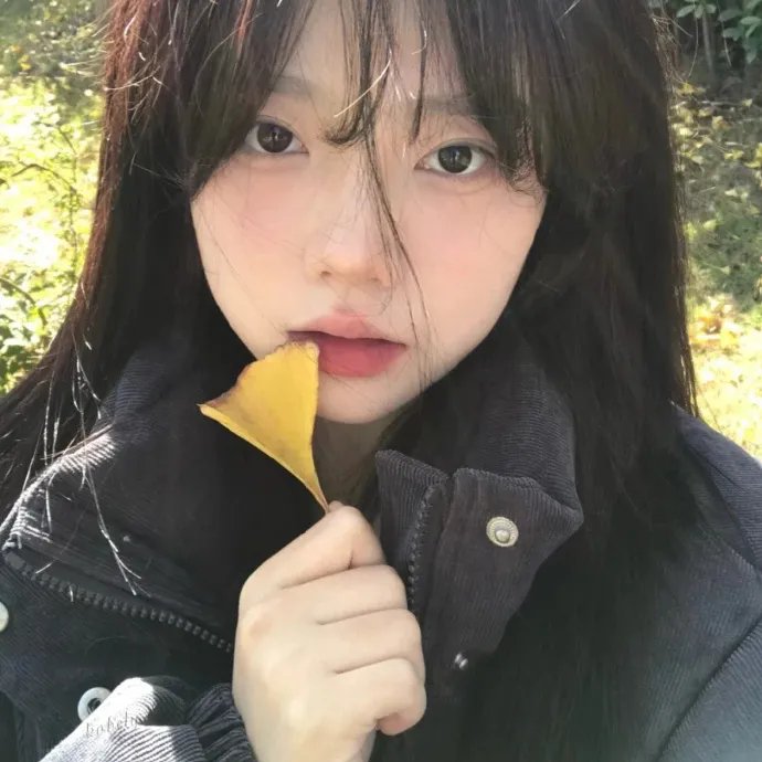 郝嗨的历险记
